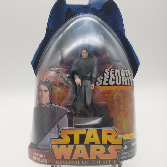 The front of the card and bubble. The figure is sealed inside.