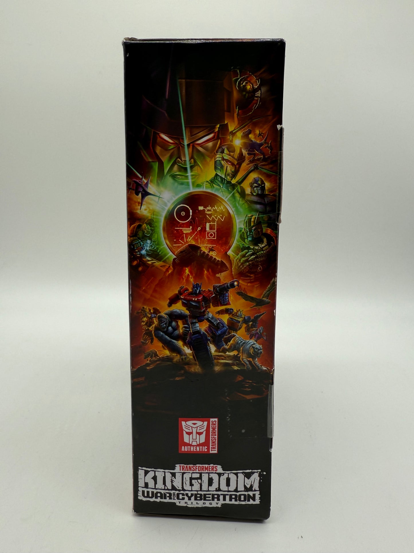 Transformers Blackarachnia 2020 Hasbro