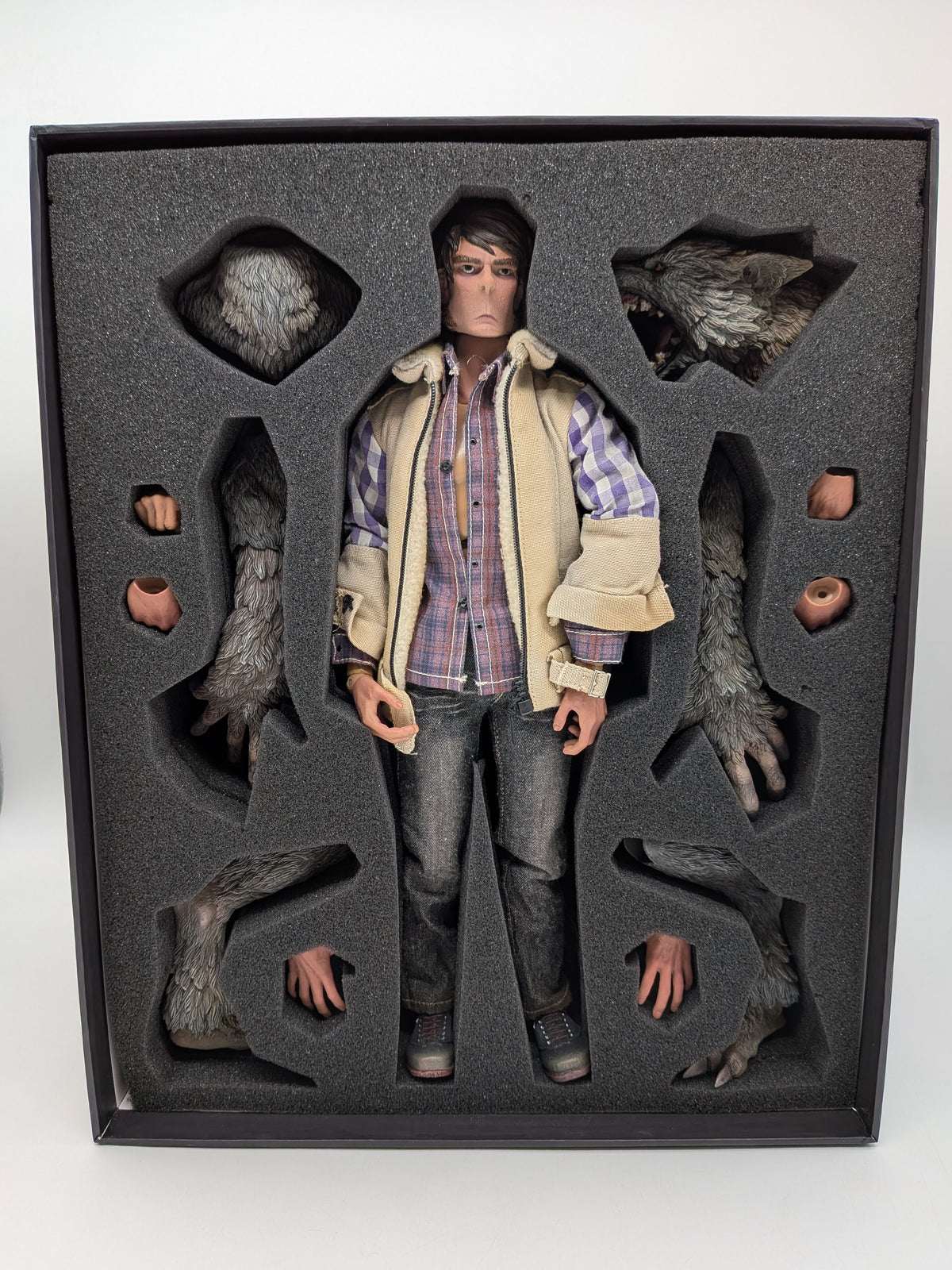CooModel x Ouzhixiang 2015 MF002 Monster File No. 2 Were Wolf 1/6 Figure, photo 4 of 6