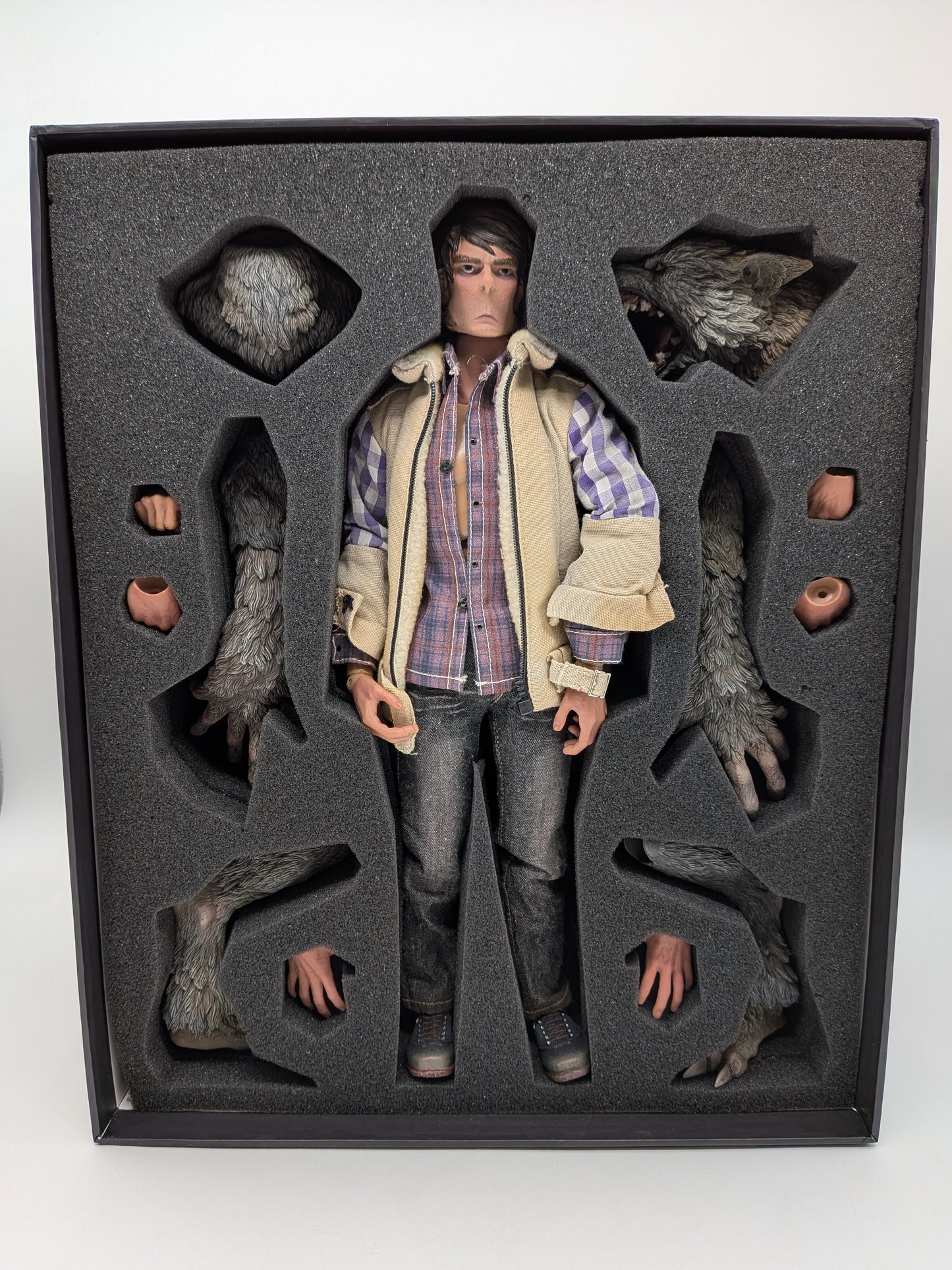 CooModel x Ouzhixiang 2015 MF002 Monster File No. 2 Were Wolf 1/6 Figure