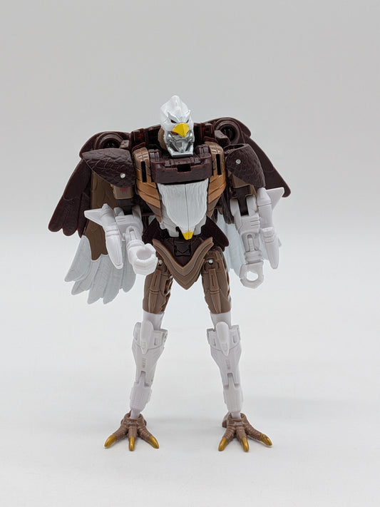 Hasbro 2020 Transformers War for Cybertron: Kingdom Skywarp Figure