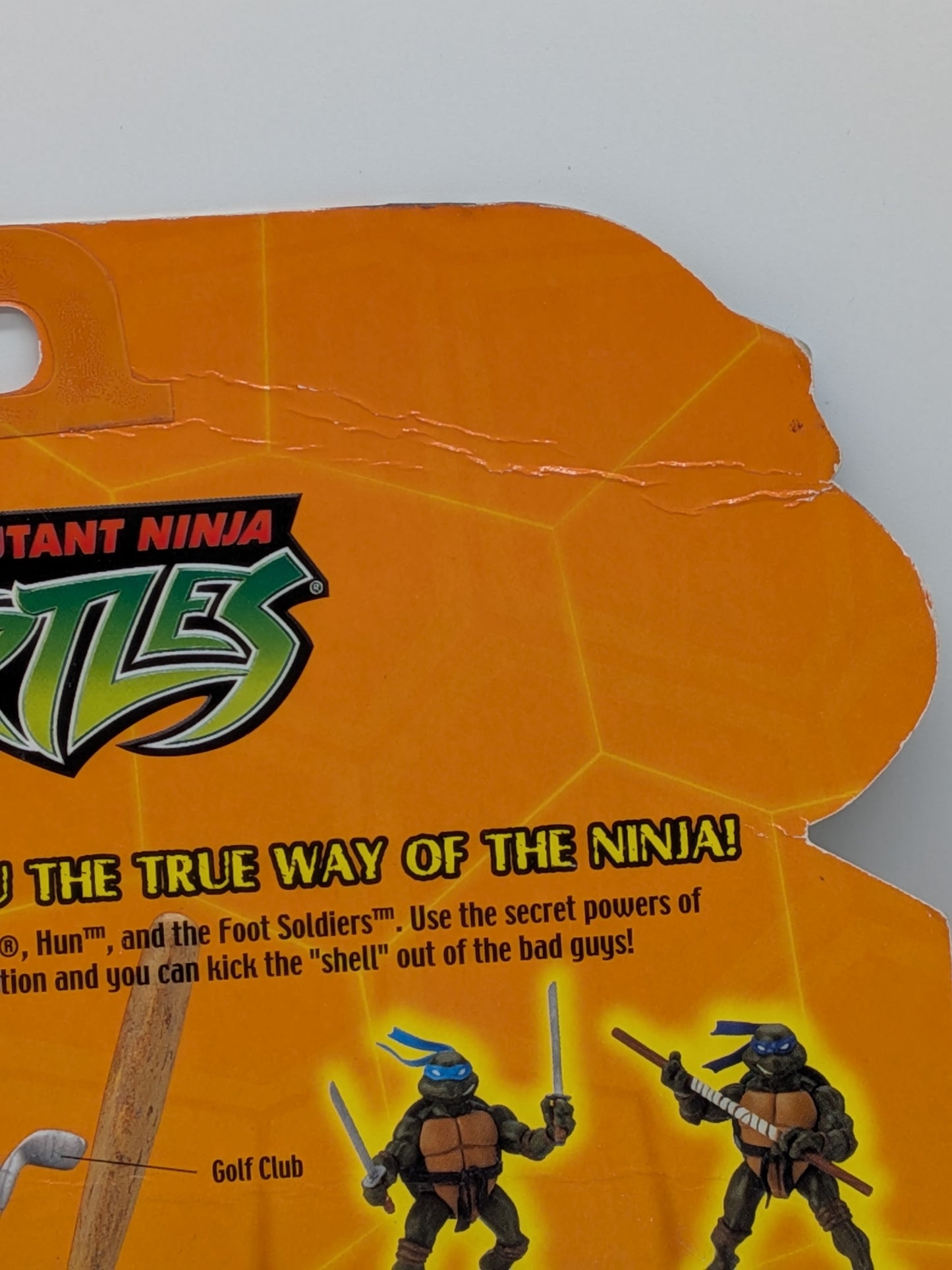 Playmates 2003 Teenage Mutant Ninja Turtles Casey Jones Action Figure