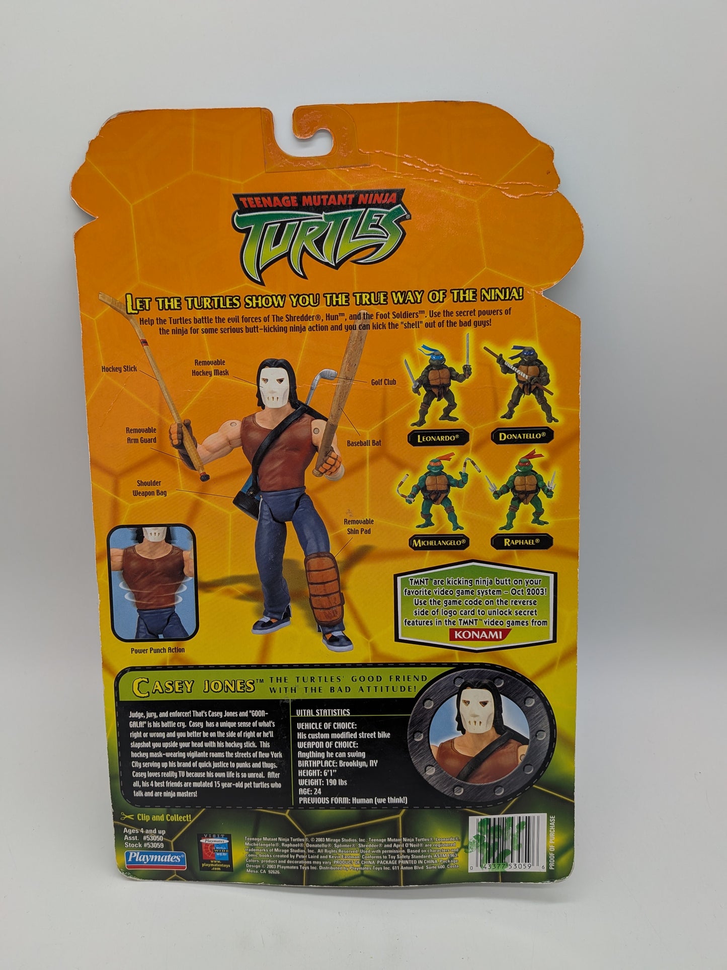 Playmates 2003 Teenage Mutant Ninja Turtles Casey Jones Action Figure
